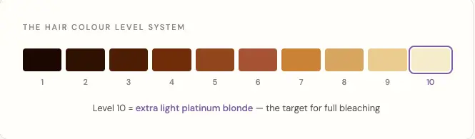 level 1-10 hair